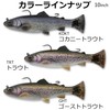 Savage Gear (サベージギア) 3Dパルステールトラウト 10インチ ファストシンキング コカニートラウト 3DPulsetail Trout 10IN