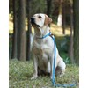 lynxking Recall Lead for Dogs, Dog Lead, Slip Lead for