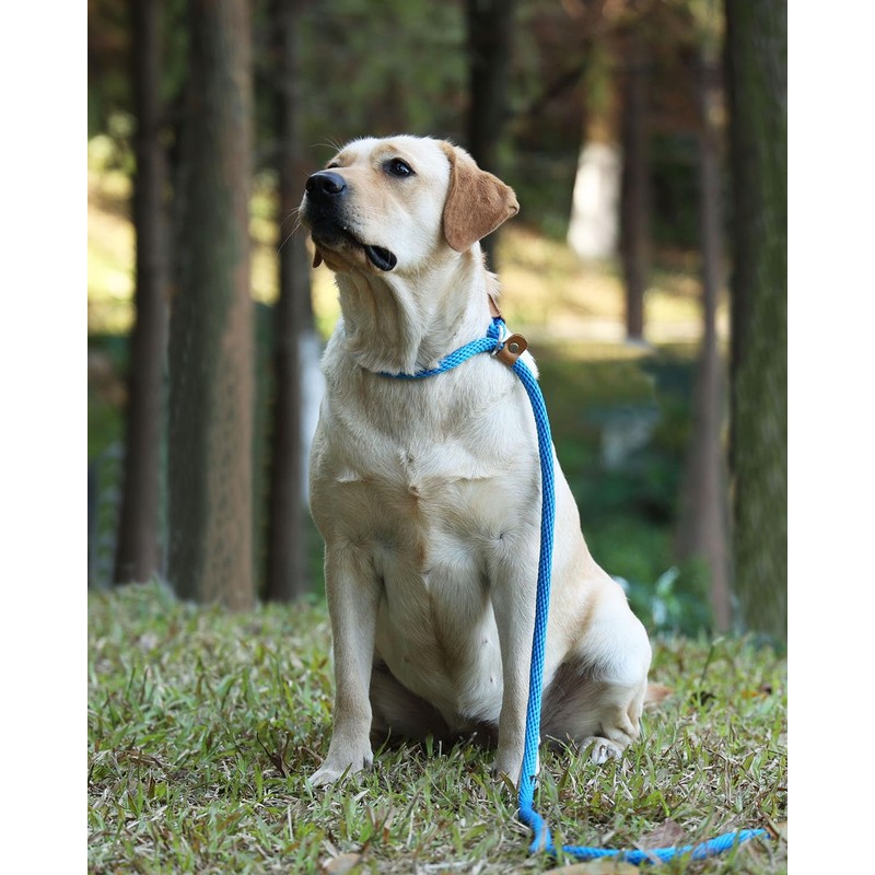 lynxking Recall Lead for Dogs, Dog Lead, Slip Lead for