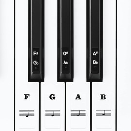 Linkidea Piano Keyboard Note Stickers (Black & Transparent Background) for 88/61/54 Key Acoustic & Digital Piano And Keyboards