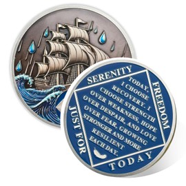 Braving The Storm 2 Year Sobriety Coin - Nautical NA Coin, Addiction Recovery 2 Year Sober Chip, Anniversary Token, Narcotics Anonymous Sobriety Gifts for Women & Men