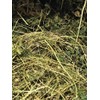 Dried Jamaican Cerasee Loose Tea, Bitter Melon 2oz Rastaman Stew