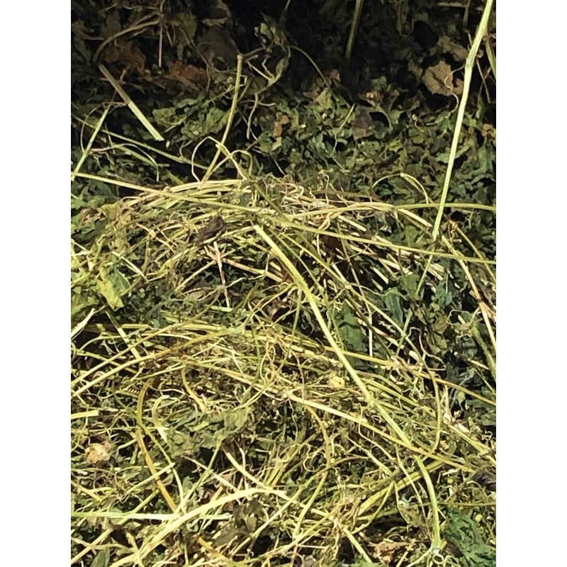 Dried Jamaican Cerasee Loose Tea, Bitter Melon 2oz Rastaman Stew