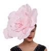 LDFWAY Large Flower Fascinators for Girls Women Tea Party Cocktail
