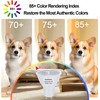 Ivyemons 3-Pack GU10 MR16 LED Bulb Dimmable, 3000k Warm White,