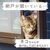 Someie Screen Door Stopper, Cats Give Up Escaping, Left-Right Symmetrical