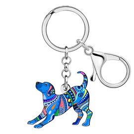DALANE Cute Acrylic Dog Mom Gifts for Women Girls Labrador Keychain Keyring Boho Gifts for Dog Lovers Car Keys Accessories (Blue)