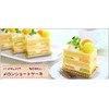 Asai Shoten Altite Top Plate, Interior Dimensions: 11.0 x 11.1