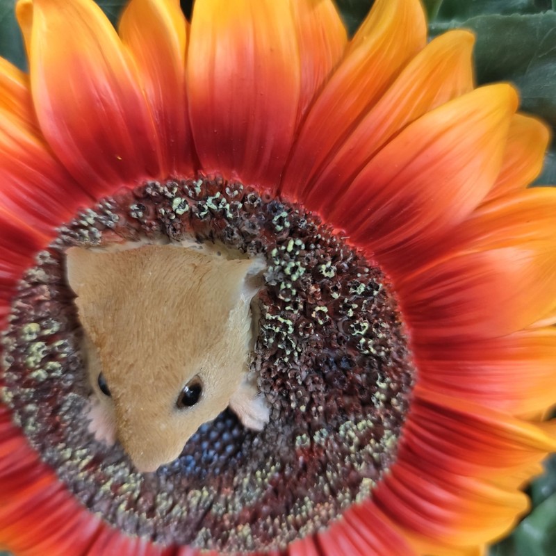 Vivid Arts HGF-029 Hanging Harvest Mouse / Orange Sunflower