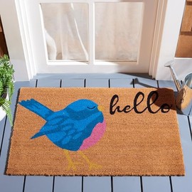 SAFAVIEH Door Mat Collection Area Rug - 1'11" x 3', Natural Coir, Hello Bird Design, Ideal for The Front Door, Mudroom, Entryway, Welcome Mat (DMTS239B-2)
