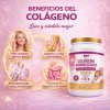 Colageno Hidrolizado Ácido Hialurónico Golden 1kg
