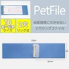 ライオン事務器 ペットファイル 統一伝票 青 No.60-TD 17032