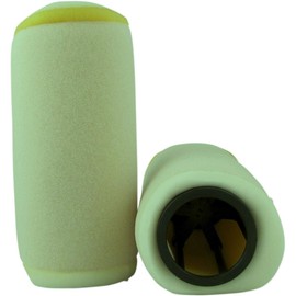 FAST FILTERS FILTER AIR & CAGE 3417