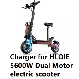 coming data smart 3A fast battery Charger for HLOIE 5600w dual motor electric scooter (23F