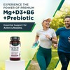 Immune Boost Magnesium Lactate Vitamins B6 & D3 and Inulin