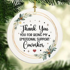 Thank You Christmas Ornament - Appreciation Gifts for Coworker, Boss, Employee, Teacher, Nurse, Mom, BFF - Christmas Retirement Gifts, Farewell, Goodbye (H41)