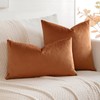 Artscope Luxury Velvet Cushion Covers Super Soft Decorative Throw Pillow