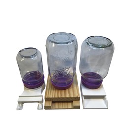 The Bee Bar No Rust Caps for Mason jar,Honeybee Jar Feeder Caps (4)