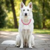 Ymapinc Chunky Pearl Pink Dog Collar, Adjustable Pearl Necklace for