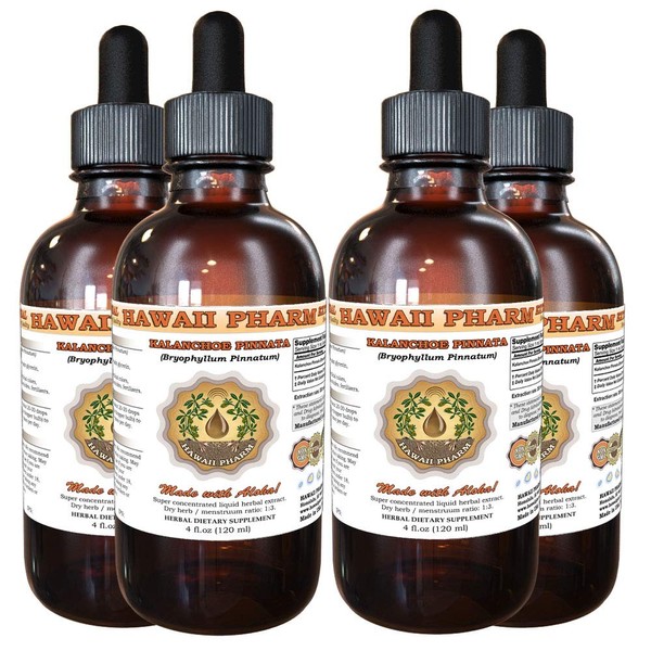 Hawaii Pharm LLC Kalanchoe Pinnata (Bryophyllum Pinnatum) Tincture, Dried Leaf