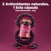 Trans Resveratrol Açaí Antioxidante Suplemento 30 Cápsulas