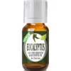 Healing Solutions 10ml Oils - Eucalyptus Essential Oil - 0.33