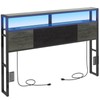 Livofloral Headboard Queen Size, Headboards with Charging Station, USB Port