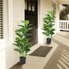 SlickBlue 2 Pack Artificial Fiddle Leaf Fig Trees with Large