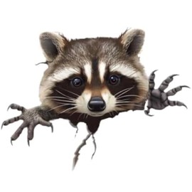 Peeking Raccoon Decal Sticker, Funny Adorable Pickaboo Raccoon Face Sticker for Bumper Window Mirror as Vinyl Waterproof Removable Weatherproof Outdoor Decals