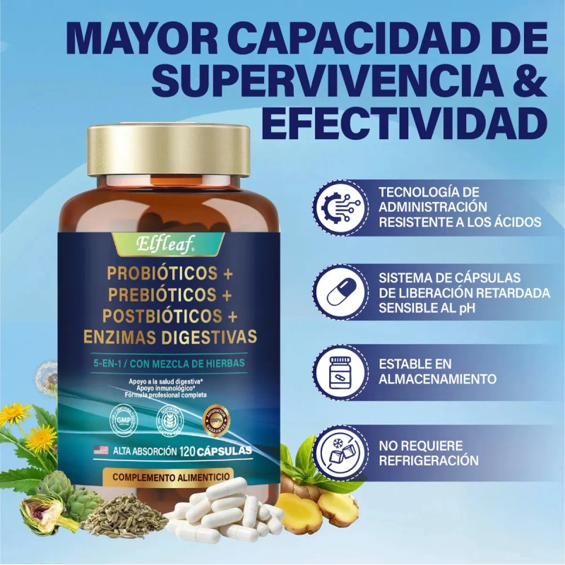 Probióticos, Prebióticos, Postbióticos y Enzimas Digestivas | Fórmula Avanzada para