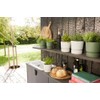 elho Greenville Round 16 - Flower Pot for Indoor and