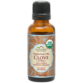 US Organic 100% Pure Clove Stem Essential Oil - USDA Certified Organic, Steam Distilled (30 ml)