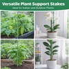 Extendable Plant Stakes 12 Inch, 12-Pack Heavy Duty Plant Support