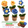 CraftsFabrics 6pcs Crochet Kit for Beginners Adults Potted Flower DIY