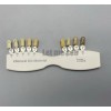 Unbranded Dental IPS Natural Die Material Shade Guide Ivoclar Vivadent