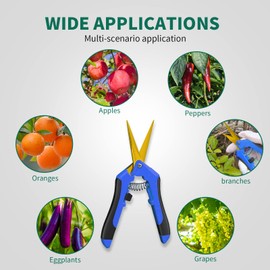 SZHLUX 6.5 Inch Gardening Scissors Hand Pruner Pruning Shears with Titanium Coated Curved Precision Blades 1-Pack