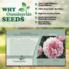 Outsidepride 10000 Seeds Annual Rose Papaver Peony Poppy Flower Seeds