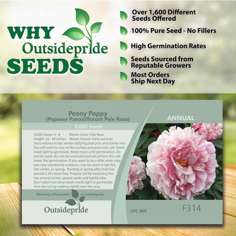 Outsidepride 10000 Seeds Annual Rose Papaver Peony Poppy Flower Seeds