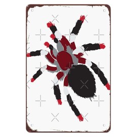 Blood Sucking Tarantula Retro Sign Metal Man Cave Club Bathroom Bedroom Bar Yard Funny Art Gift 8 x12 Inches