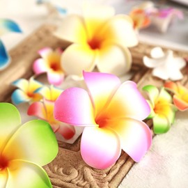 10 Pcs Multicolor Hawaii Plumeria Flower Hair Clips, 2.8 Inch Tropical Flower Hair Pins for Women's Wedding Hair Accessories Clips and Barrettes Hair Accessories