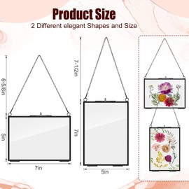 Barydat 12 Packs Pressed Flowers Glass Frames 5 x 7 Inch Brass Hanging Picture Frame Double Glass Frame with Chain Floating Photo Frame for Dried Flowers Plant Specimen Artwork Display (Black)
