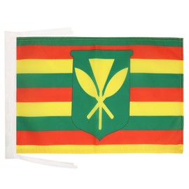 AZ FLAG Hawaii Kanaka Maoli Flag 18'' x 12'' cords - Native Hawaiians SMALL flags 30 x 45cm - Banner 18x12 in