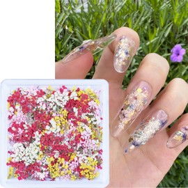 3D Dried Flowers for Nails, Spring Flower Nail Art Stickers 1Box Dried Flowers for Resin Crafts Colorful Small Natural Floral Dried Flower Decals for Summer Acrylic Nails Design Manicure Accessories