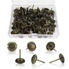 Fatiya 100 Pieces Daisy Upholstery Nails for Furniture with Box,