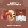 BULK SUPERFOODS Extracto de Reishi Orgánico en Polvo Adaptógeno