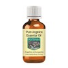 Devprayag Pure Angelica Essential Oil (Angelica archangelica) Natural Therapeutic Grade