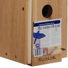 Woodlink Wooden Bluebird House - Model BB1 7.5" x 7.25"