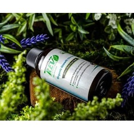 Sweetheart Blueberry Bush in 3.5 inch pots, Great Starter Plant!-2 Harvests per Year! with Rev Organics Rooting Hormone! Root 25% Faster!