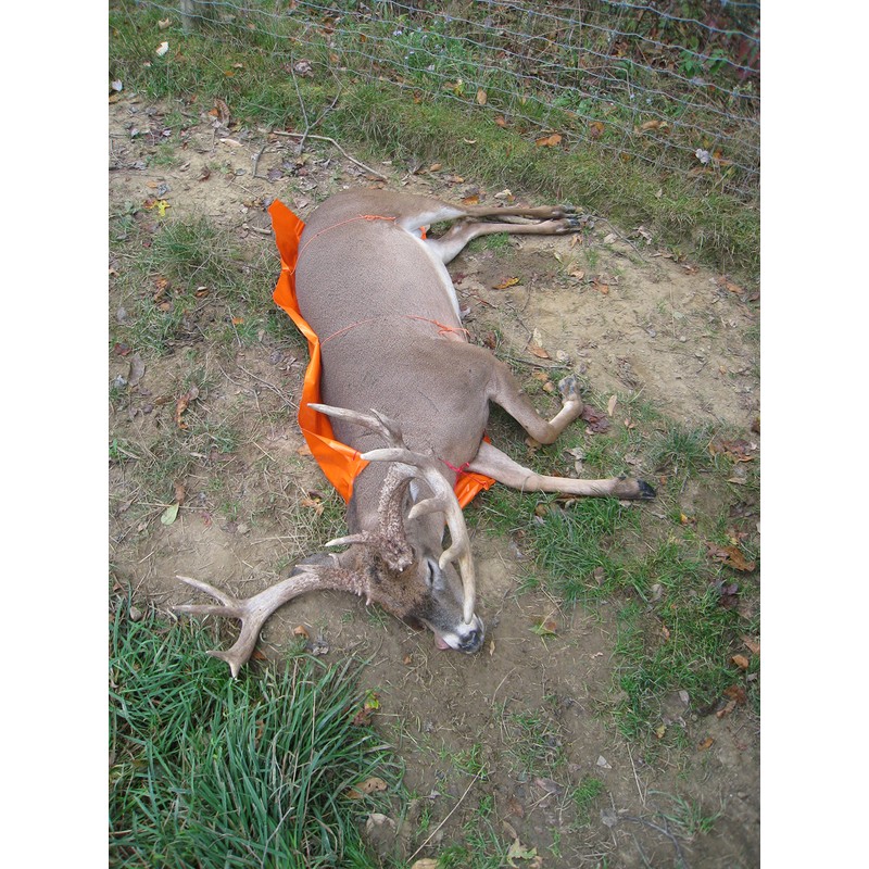 Cass Creek – Juego Glide – ccgg – Deer Slide