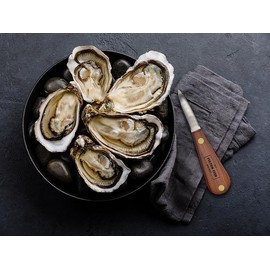 Fulton Fish Market Oyster Knife – Durable Stainless Steel Blade with Rosewood Handle – 6.5 inches